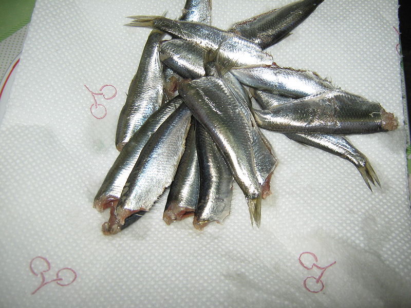 Fisier:Hamsiile spalate.JPG