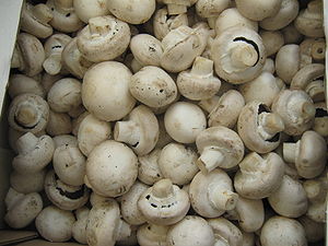 Zacusca din ciuperci
