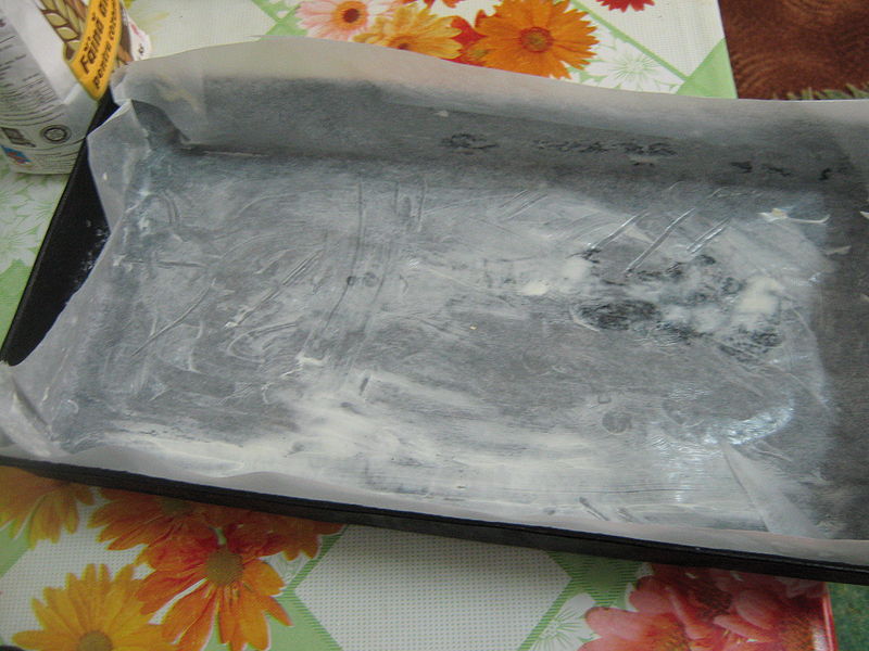 Fisier:Tava pregatita.JPG