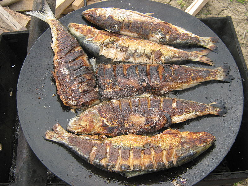 Fisier:Scrumbie de Dunare prajita2.jpg