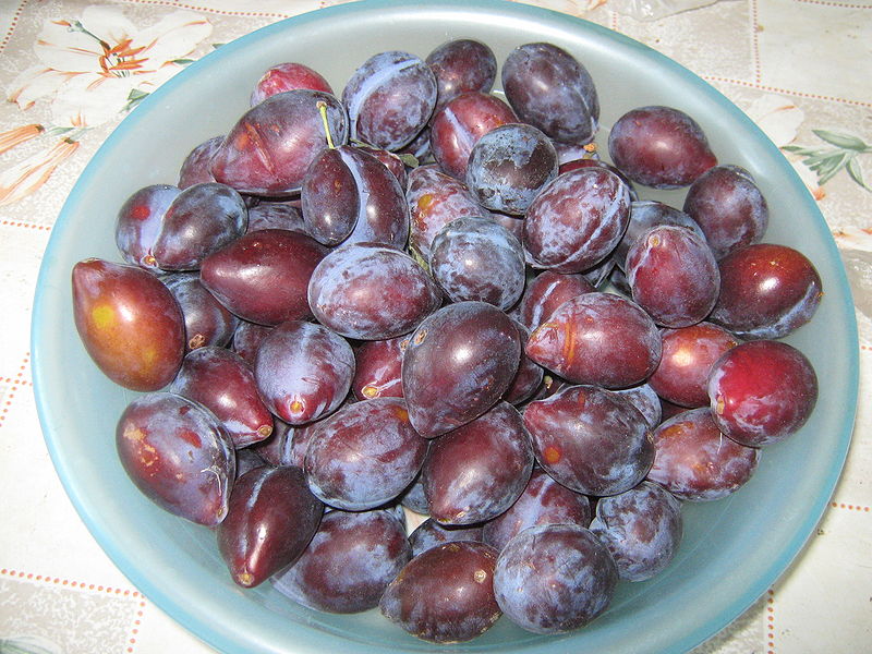 Fisier:Gem de prune decojite 1.jpg