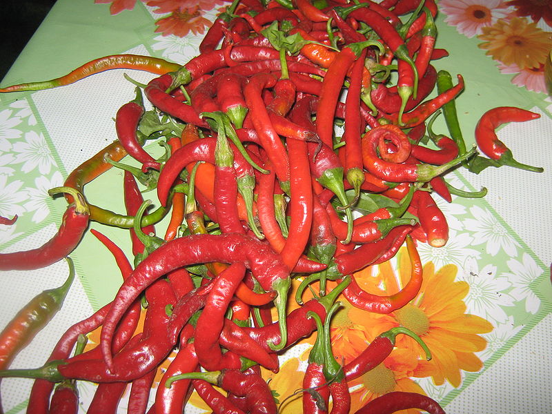 Fisier:Ardeii iuti .JPG