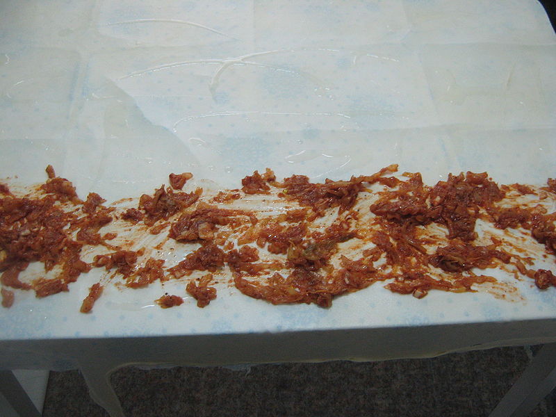 Fisier:Foaia umpluta.JPG