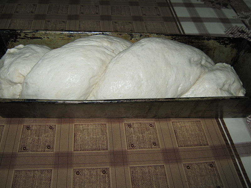 Fisier:Painea cu branza pusa la dospit.JPG