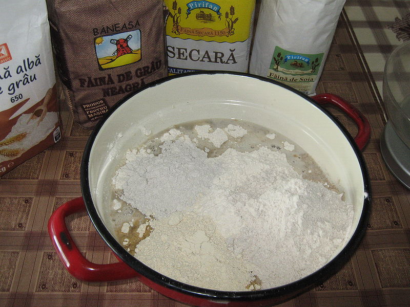 Fisier:Prepararea aluatului de paine.JPG