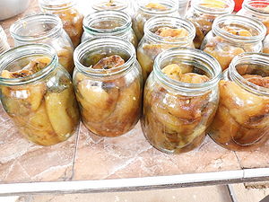 Ardei Grasi Copti Pentru Iarna Gastrowiki