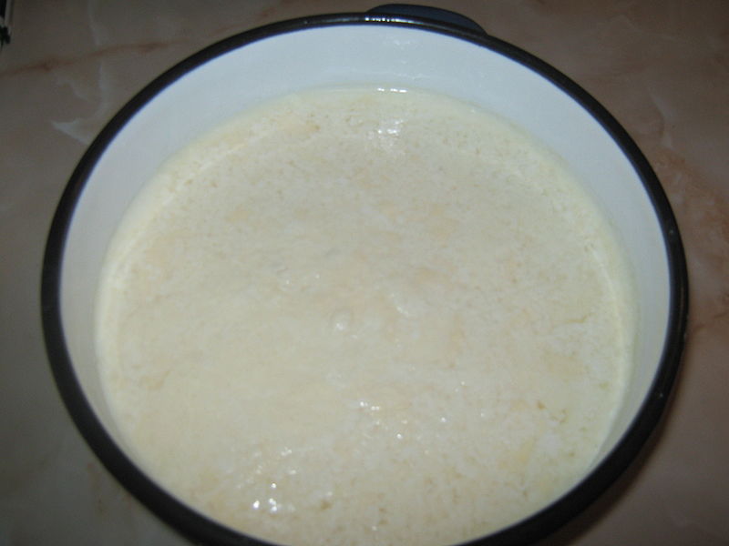 Fisier:Iaurt de casa 1.JPG