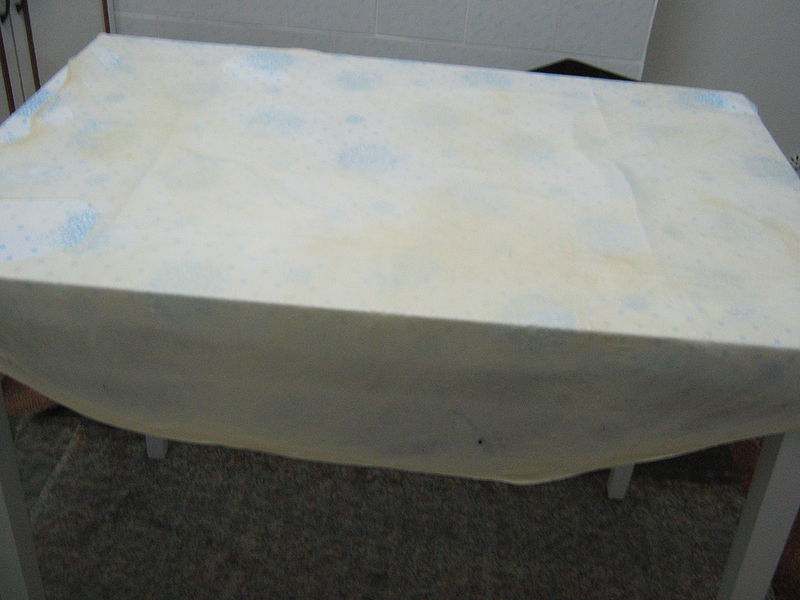 Fisier:Foaia intinsa.JPG