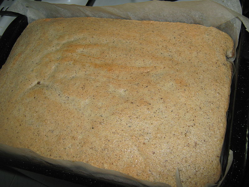 Fisier:Blatul copt 1.JPG