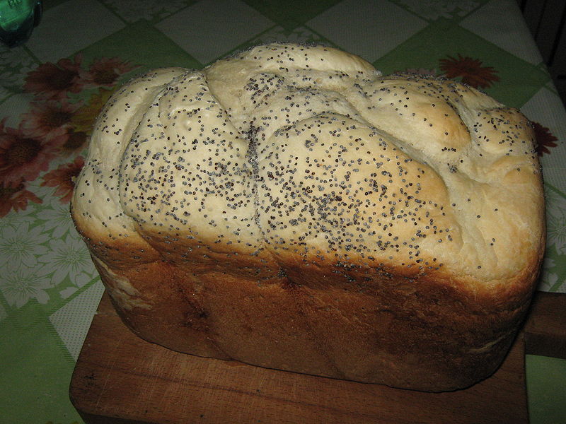 Fisier:Paine impletita.JPG