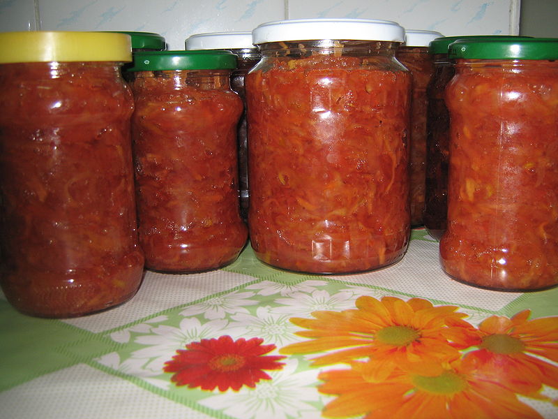 Fisier:Gata de pus in camara .JPG