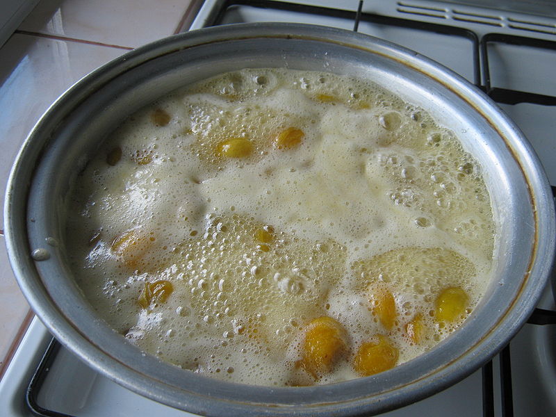 Fisier:Gem de zarzare 3.jpg