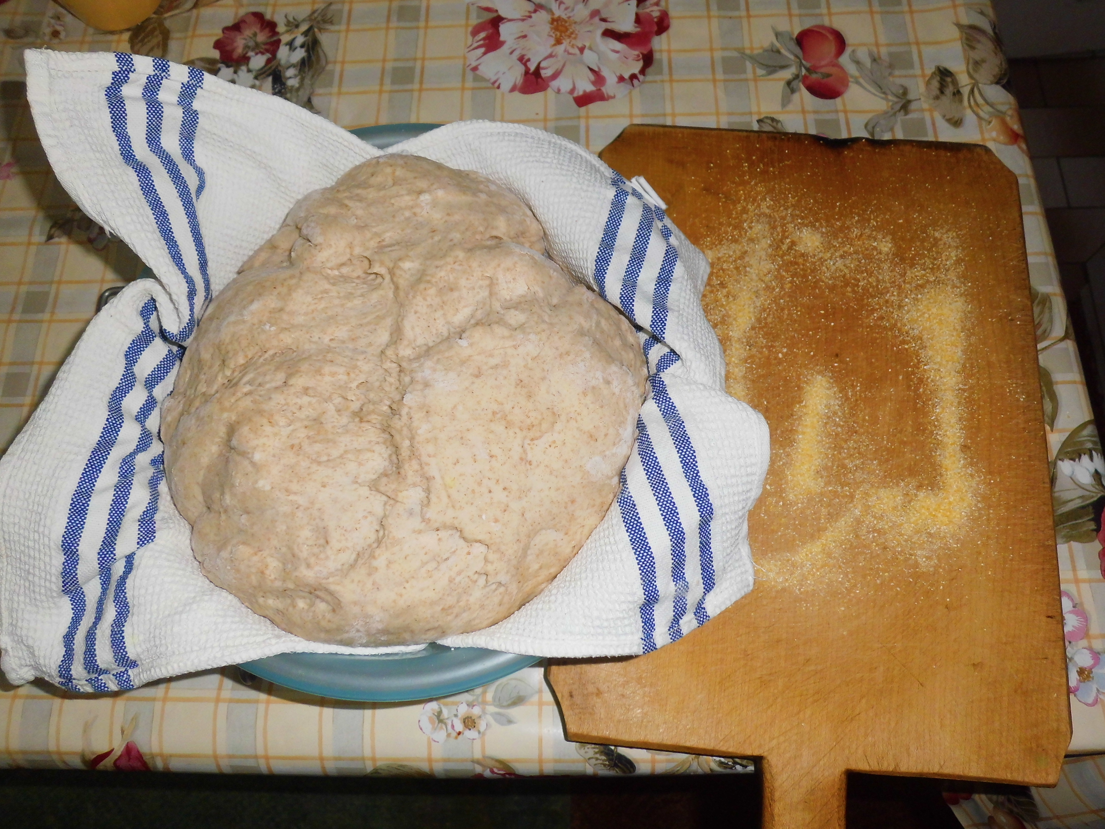 Paine coapta pe piatra Leo