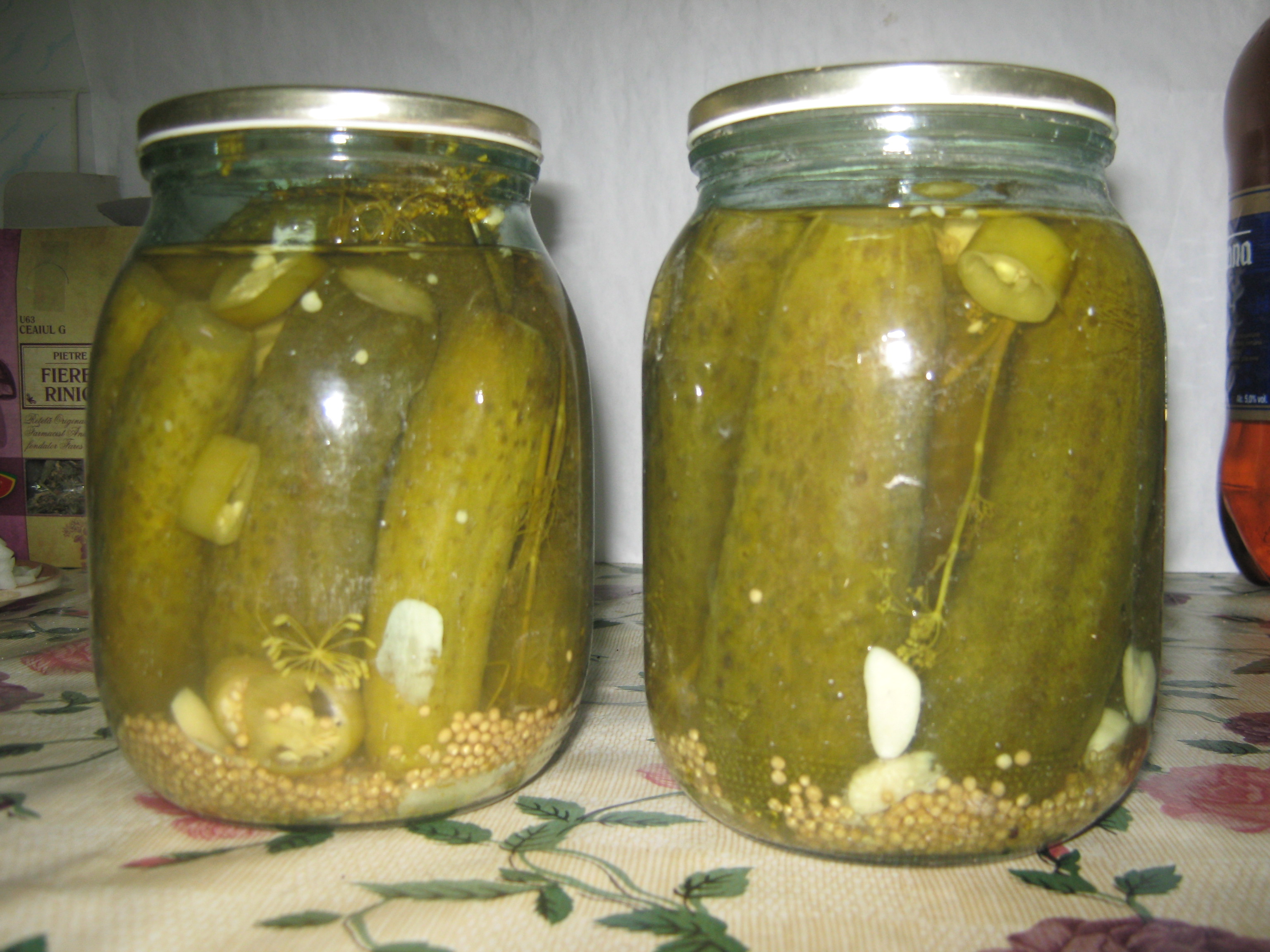 Castraveti bulgaresti1