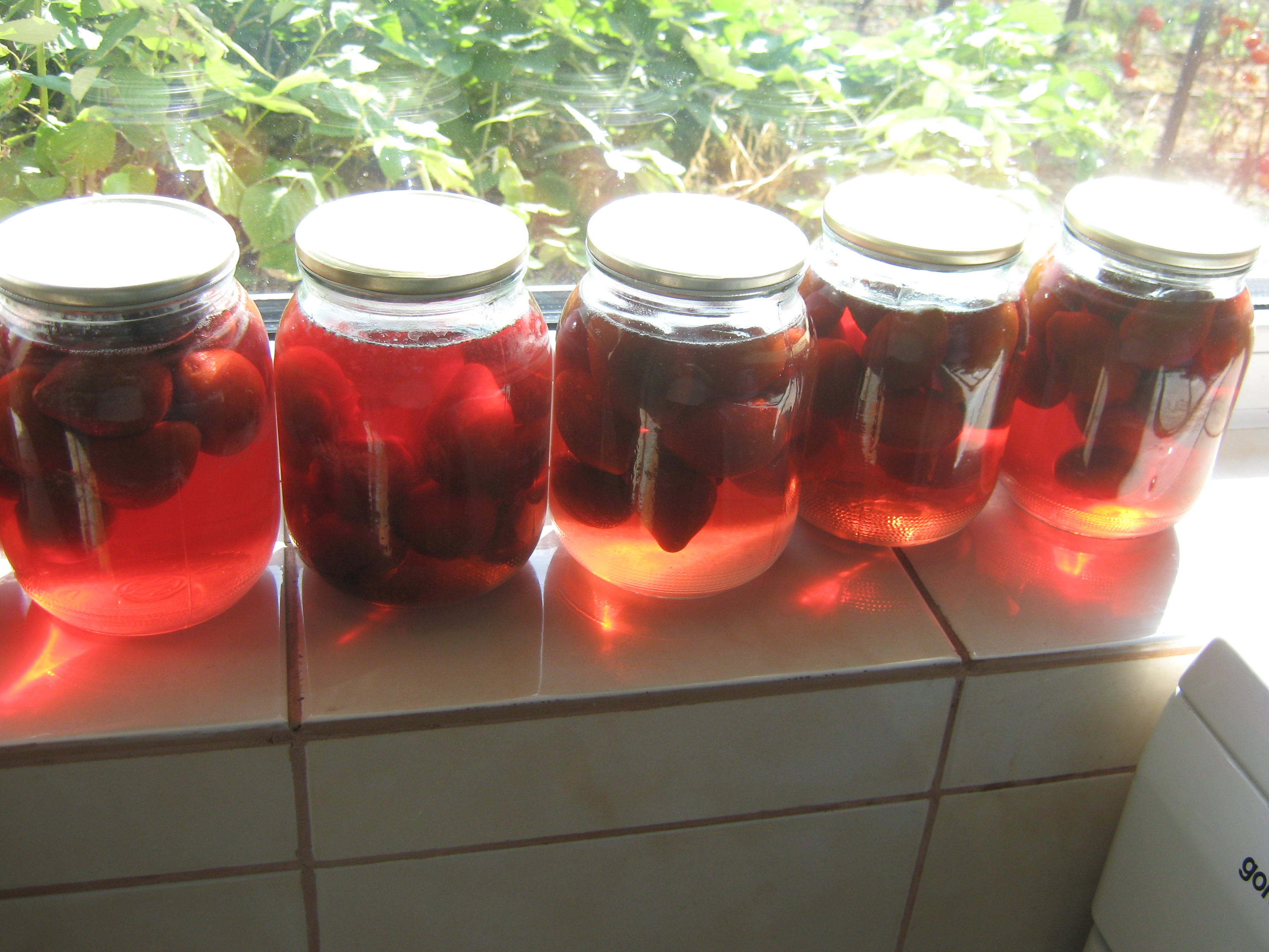 Compot de prune 1