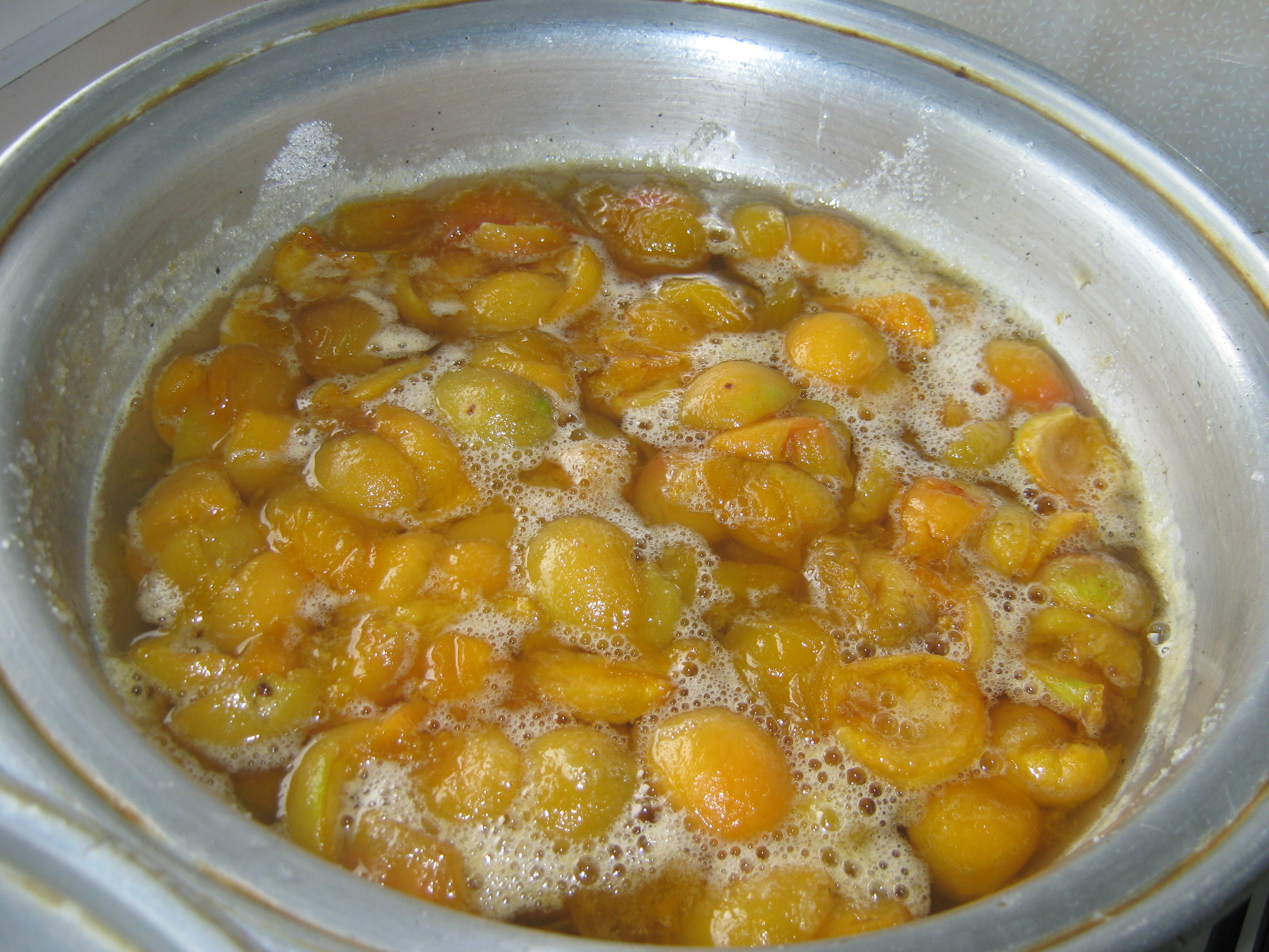 Gem de zarzare 1