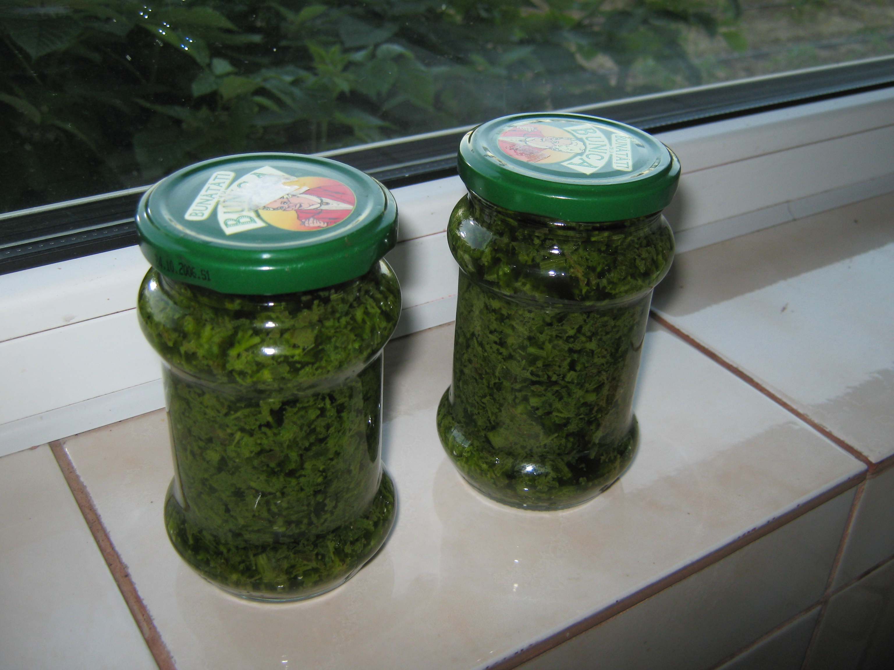 Leusteanul pus in borcane