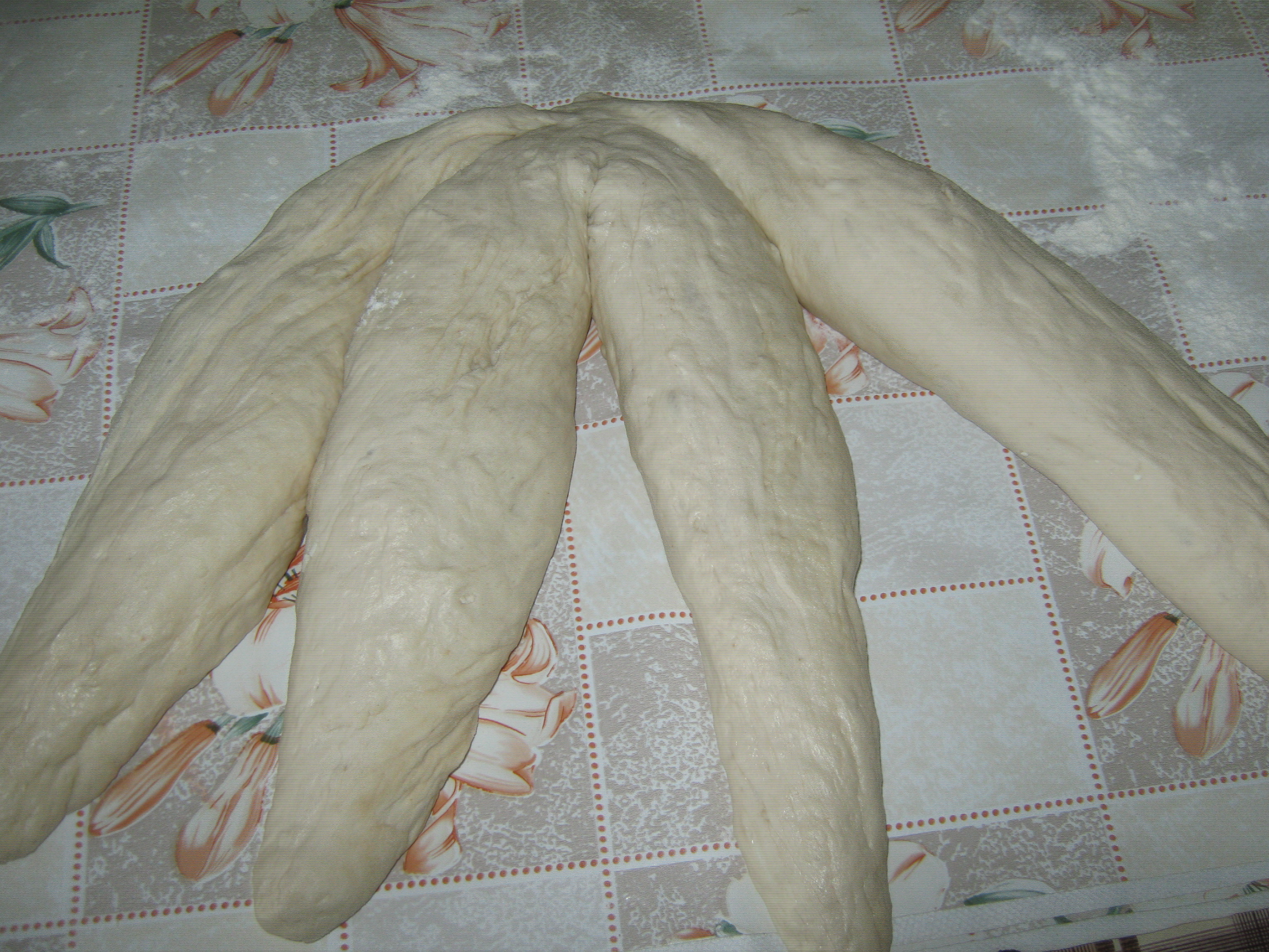 Paine impletita