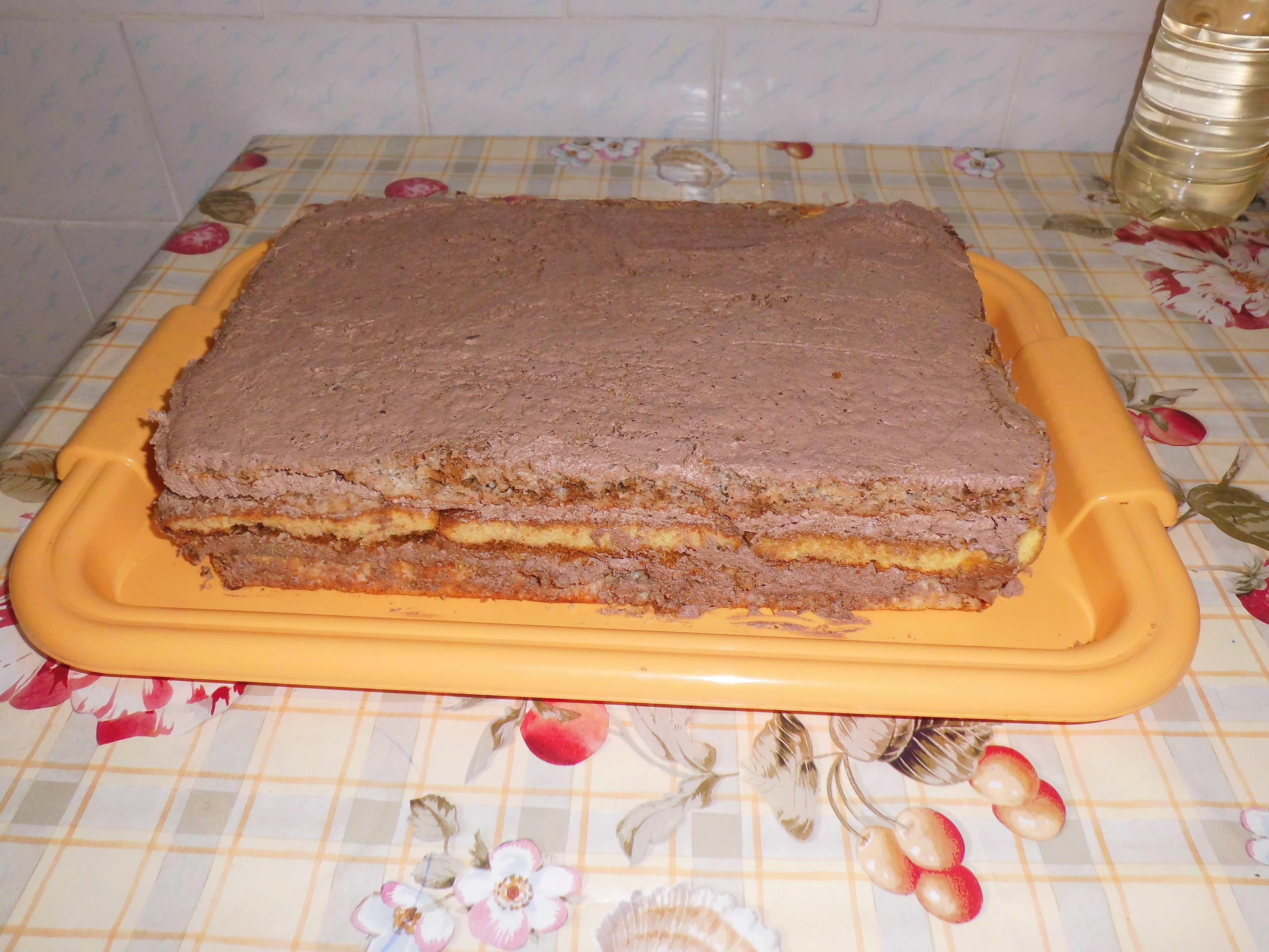 Pagina principala